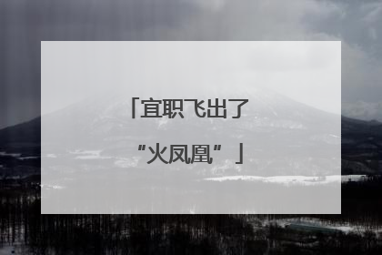 宜职飞出了“火凤凰”